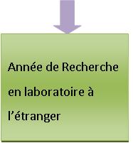 Anne de recherche en laboratoire  l'tranger